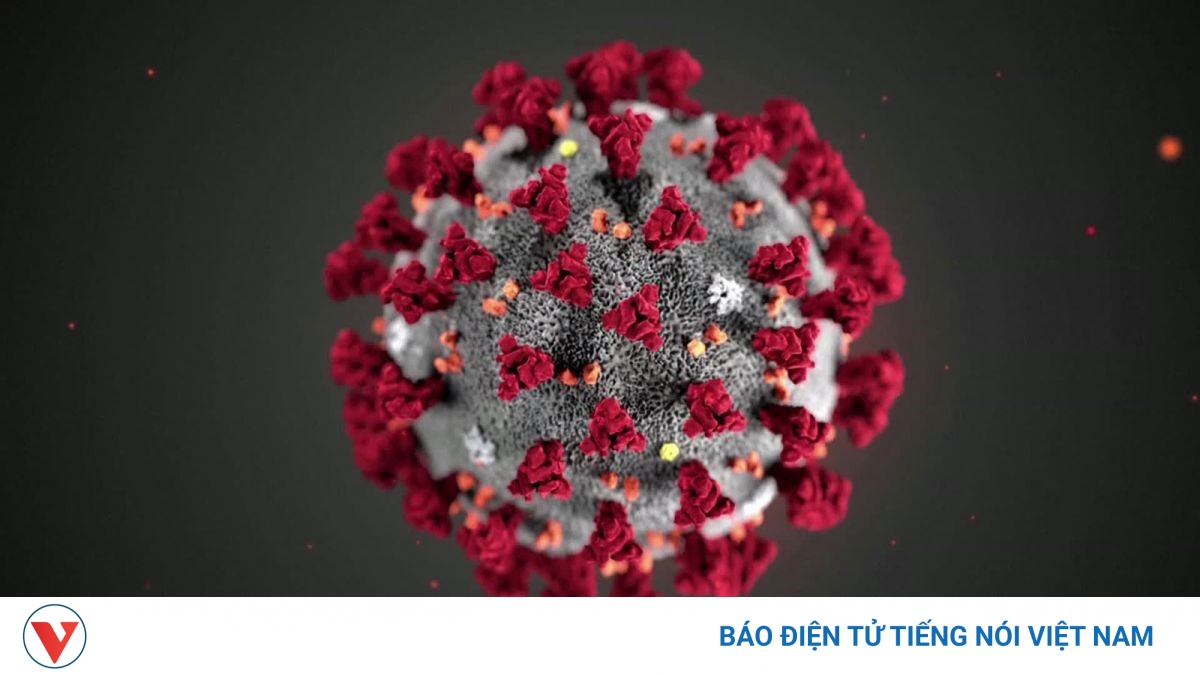 Tại sao biến thể Delta lây lan nhanh hơn nhiều so với các chủng virus khác? - Vimarsana News