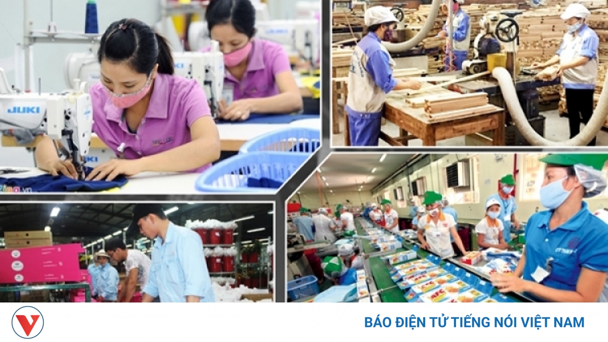 Dịch Covid-19: "Lửa thử vàng" với doanh nghiệp Việt Nam - Vimarsana News