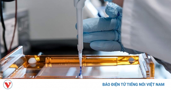 Phương pháp đột phá hứa hẹn chữa khỏi HIV