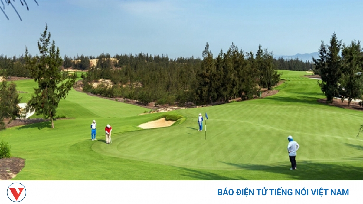 Đình chỉ công tác Giám đốc Sở Du lịch Bình Định chơi golf khi tỉnh giãn cách xã hội - Vimarsana News