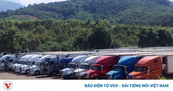 Hàng không, vận tải gửi 4 kiến nghị, 1 đề xuất để "bật dậy" sau dịch COVID-19