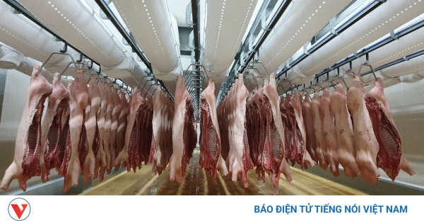 Chiến sự Nga-Ukraine ảnh hưởng lớn đến thương mại thịt toàn cầu