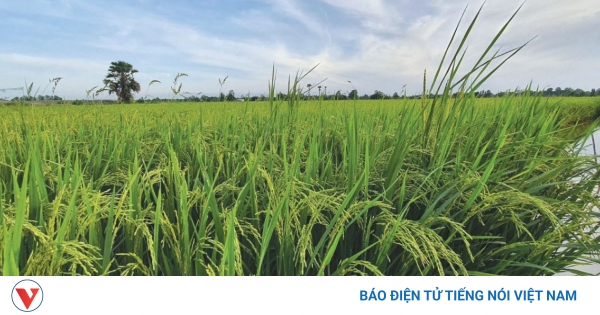 Câu chuyện sản xuất và làm giàu