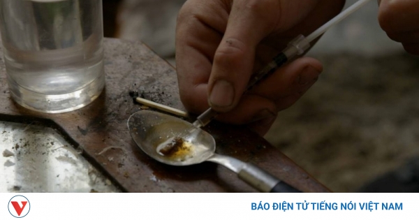 Cảnh báo sự nguy hiểm của ma túy nước biển