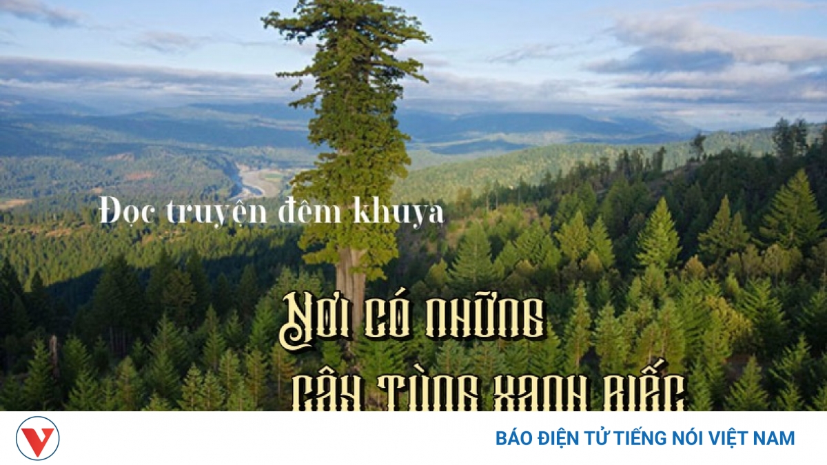 “Nơi có những cây tùng xanh biếc” - Truyện ngắn hay về hoàng thân Cường Để
