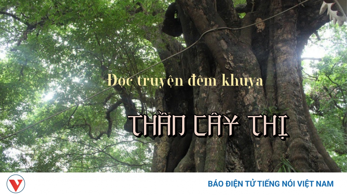 Truyện ngắn "Thần cây thị" - Mãi mãi một tình yêu