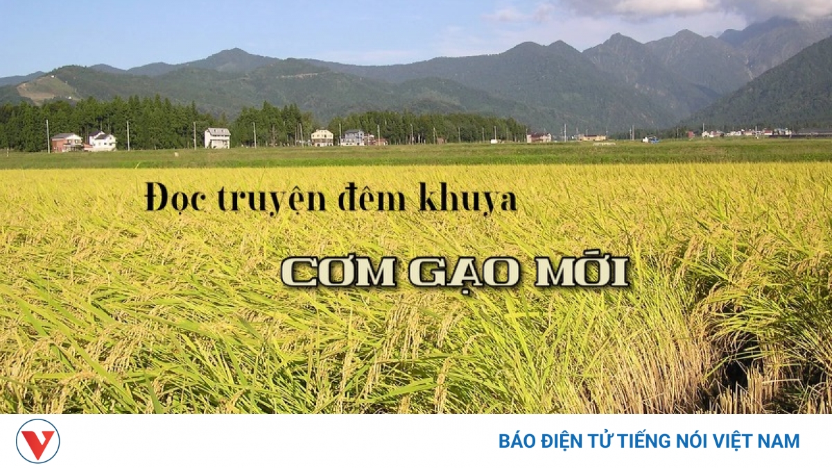Truyện ngắn "Cơm gạo mới" - Đong đầy nỗi nhớ ruộng đồng