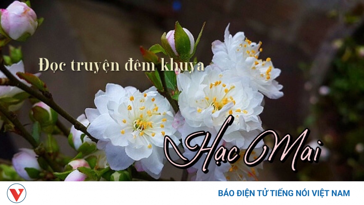 Truyện ngắn "Hạc Mai" - Mộng tưởng và hiện thực