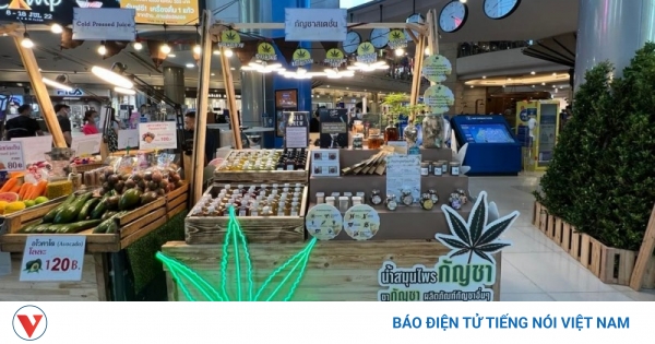 Thái Lan ban hành quy định mới, tiến tới cấm cần sa giải trí