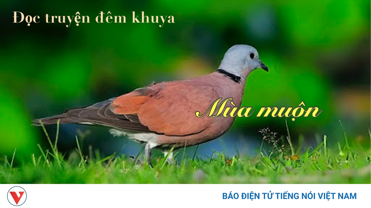 Truyện ngắn "Mùa muộn" - Nao nao mùa chim ngói