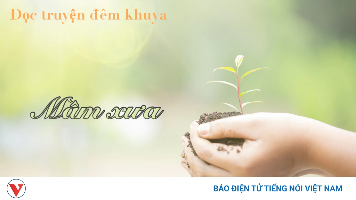 Truyện ngắn “Mầm xưa” - Quả ngọt hôm nay