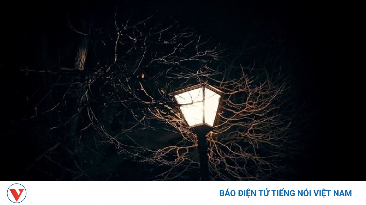 "Cái đùi cừu": Hậu họa của sự phản bội