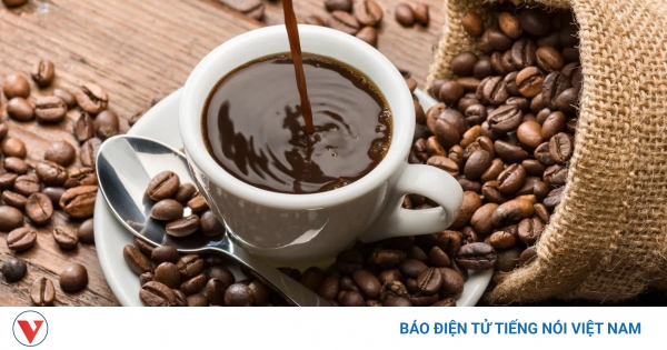 Giá cà phê hôm nay 16/5: Giá cà phê Robusta và Arabica duy trì mạch giảm
