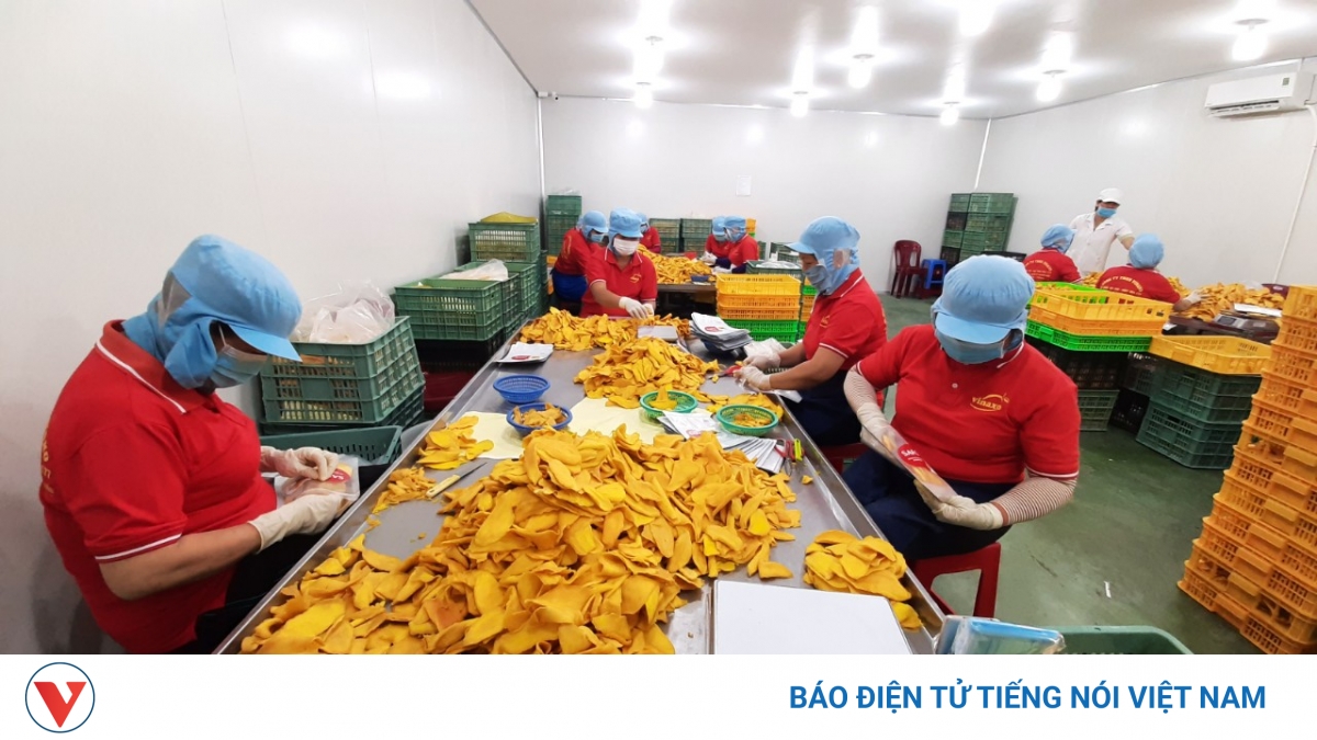Minh bạch hóa sản xuất để nông sản vượt "rào cản" khi xuất khẩu