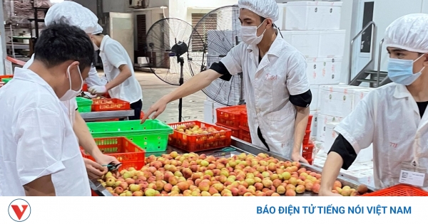 Xuất khẩu bền vững hướng đến mục tiêu tăng trưởng hai con số