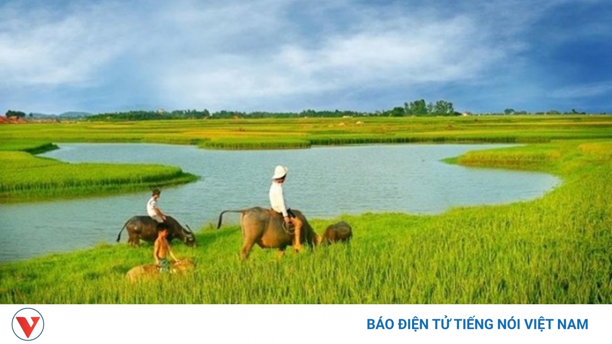 “Gió đồng đêm năm ấy”: Ấm áp tình người
