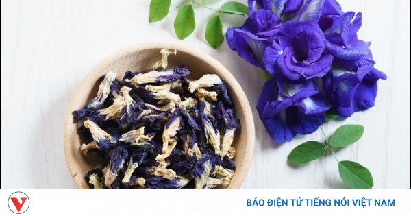 Khám phá công dụng bất ngờ của hoa đậu biếc đối với sức khỏe