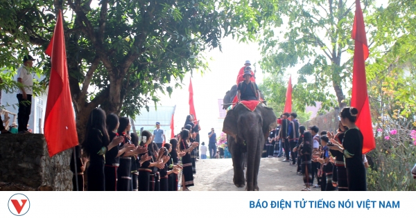 Lễ Hội Voi Khai Mạc: Mổ Heo Cúng Sức Khỏe Voi Tại Buôn Ma Thuột