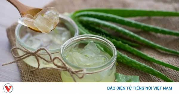 Khám Phá Công Dụng Thần Kỳ Của Nha Đam: Từ Sức Khỏe Tới Sắc Đẹp