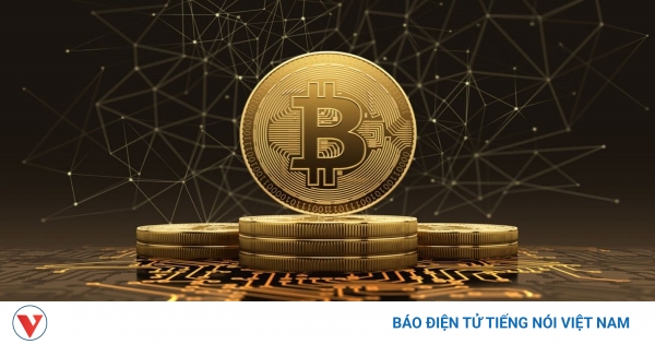 Cảnh Báo: Đầu Cơ Tiền Điện Tử Có Thể Bị Phạt Hàng Tỷ Đồng!