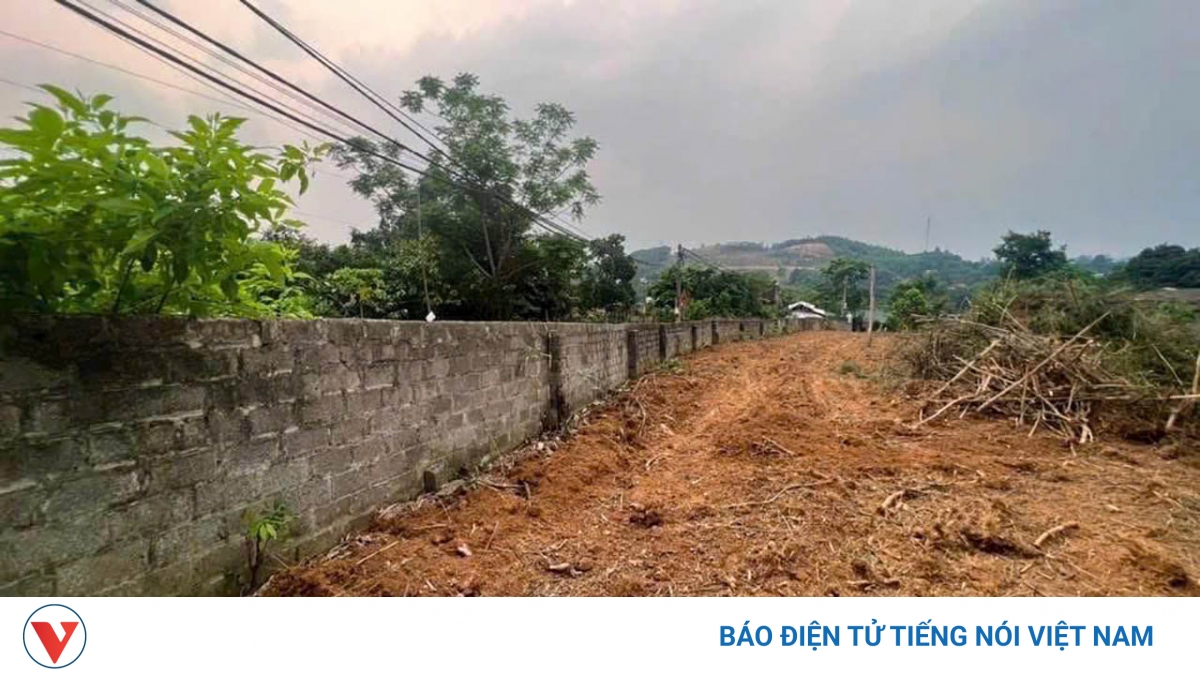 vov.vn