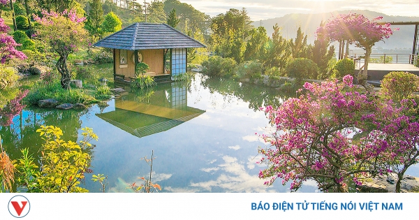 Đà Lạt 'Gây Bão' Du Lịch Chăm Sóc Sức Khỏe: Lọt Top Đầu Châu Á Theo Agoda!