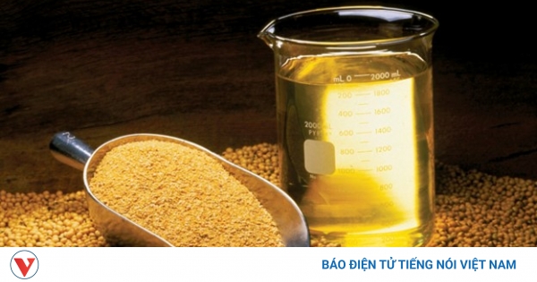 Dầu Đậu Nành: 'Vị Cứu Tinh' Cho Tim Mạch, Dễ Dàng Tìm Mua Tại Việt Nam!
