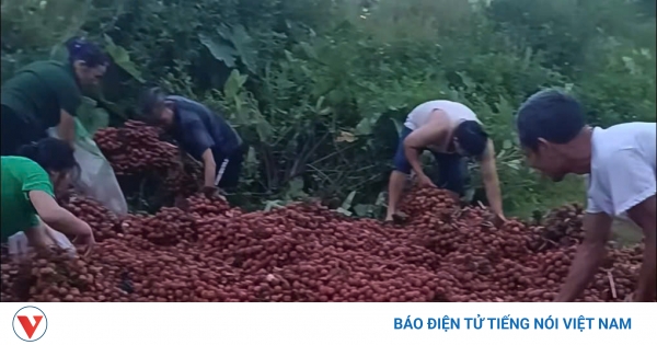 vov.vn