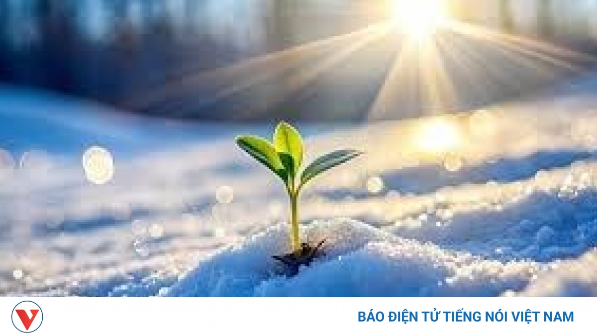 Truyện ngắn “Mầm sống”: Gieo sự sống cho đời