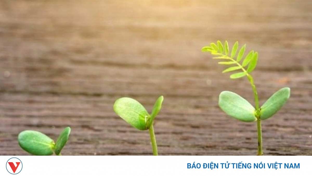 Phản tỉnh mất kết nối "Hàng xóm" thời hiện đại