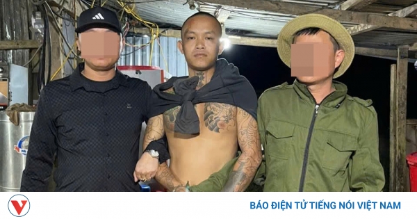 Bắt giữ đối tượng truy nã nguy hiểm khi đang lẩn trốn tại bãi vàng ở Đà ...