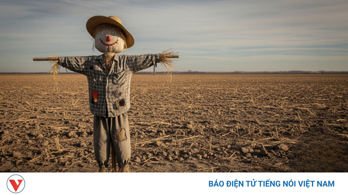 "Bù nhìn" - Lời cảnh tỉnh về thân phận con người