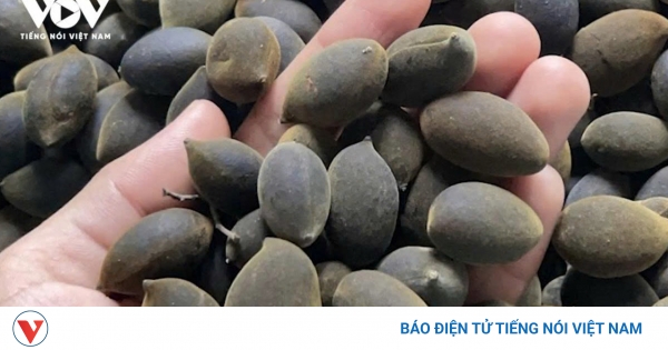 sunwin20 - Hướng Dẫn Chi Tiết Để Nhanh Chóng và An Toàn Nhất