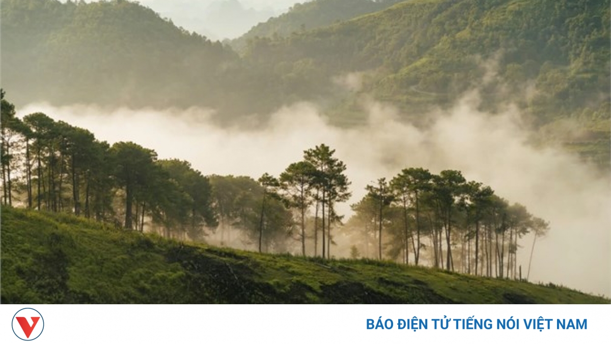 "Núi vỡ": Gieo neo nghề giáo nơi rừng sâu núi thẳm