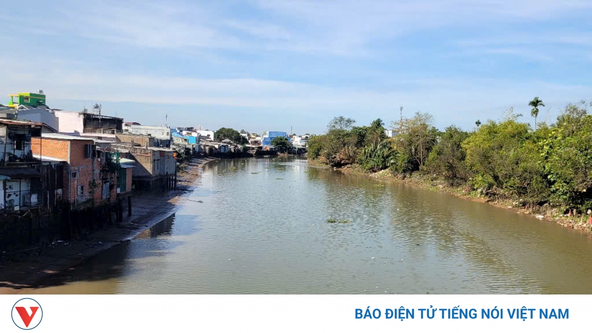 Nông dân vùng hạ lưu Đồng Tháp, Vĩnh Long khẩn trương ứng phó xâm nhập mặn