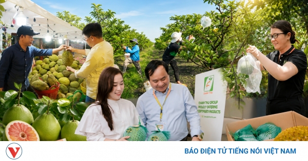 Nạn "bẻ kèo" trong nông nghiệp, nông dân tự cắt đứt cơ hội xuất khẩu