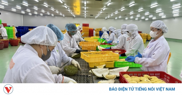 Tiêu chuẩn quốc tế thay đổi tạo áp lực và động lực mới cho nông sản Việt