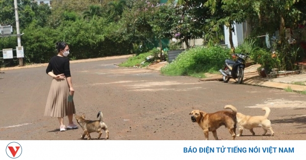 vov.vn
