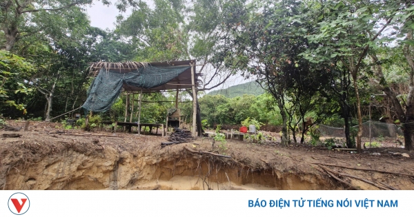 Chuyển hồ sơ sang cơ quan điều tra vụ đốt, phá rừng ở Đặc khu Côn Đảo