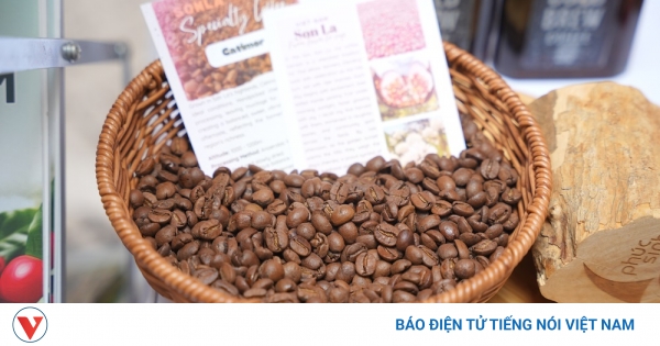 Sơn La - nâng vị thế vùng nguyên liệu cà phê Arabica lớn nhất Việt Nam