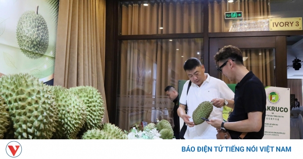 Kết nối chuỗi cung ứng sầu riêng Việt Nam - Trung Quốc