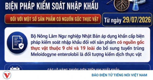 Hải quan cảnh báo quy định mới của Nhật Bản với nông sản xuất khẩu