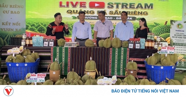 Cán bộ phường Cư Bao cùng nông dân đưa sầu riêng lên nền tảng số