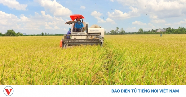 Kỳ tích xuất khẩu 70 tỷ USD: Dấu ấn chính sách nông nghiệp Việt Nam 40 năm đổi mới