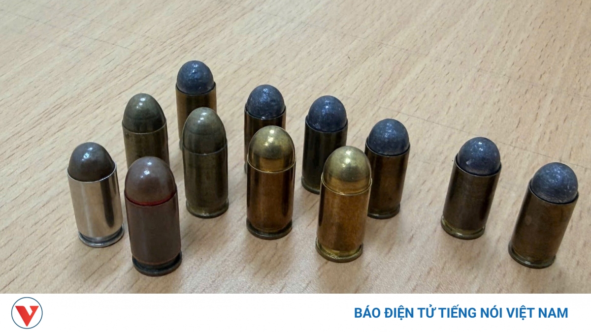 Жительница Хайфона получила 27 месяцев тюрьмы за хранение 11 патронов