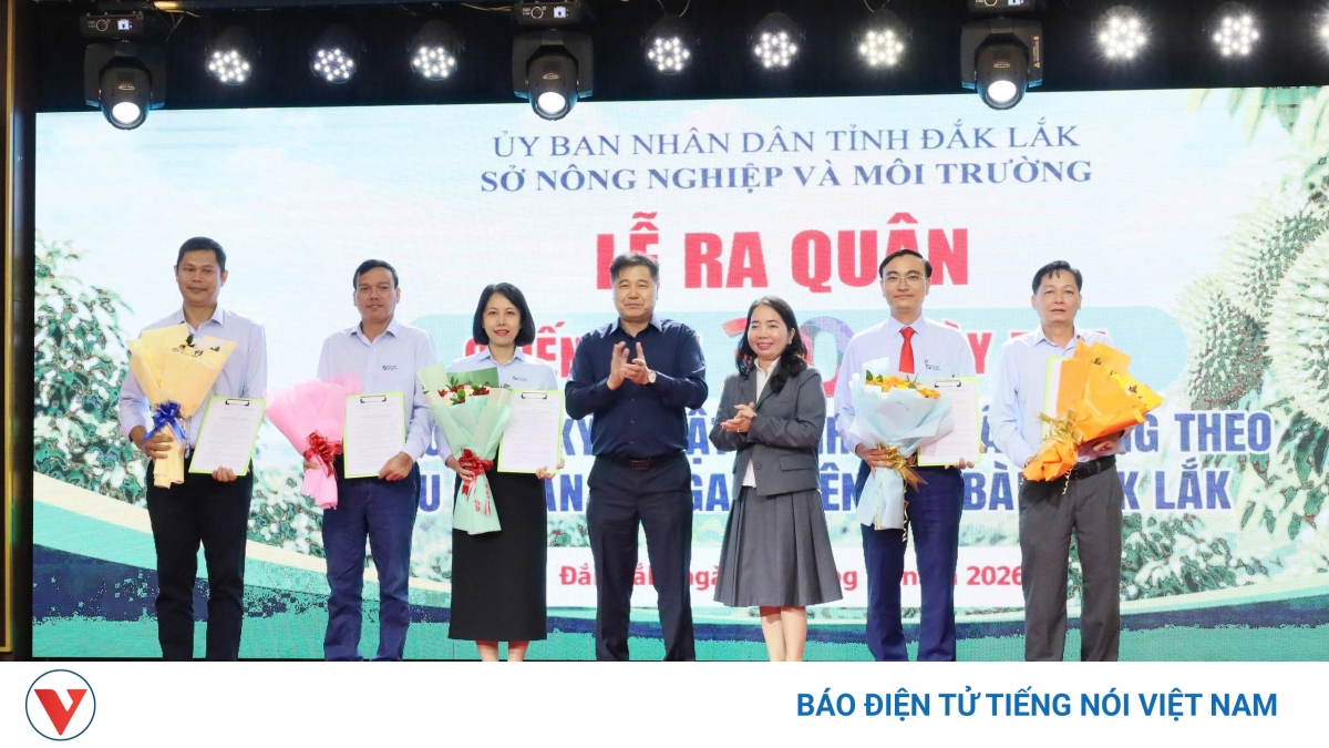 Đắk Lắk chuẩn hóa canh tác sầu riêng VietGAP