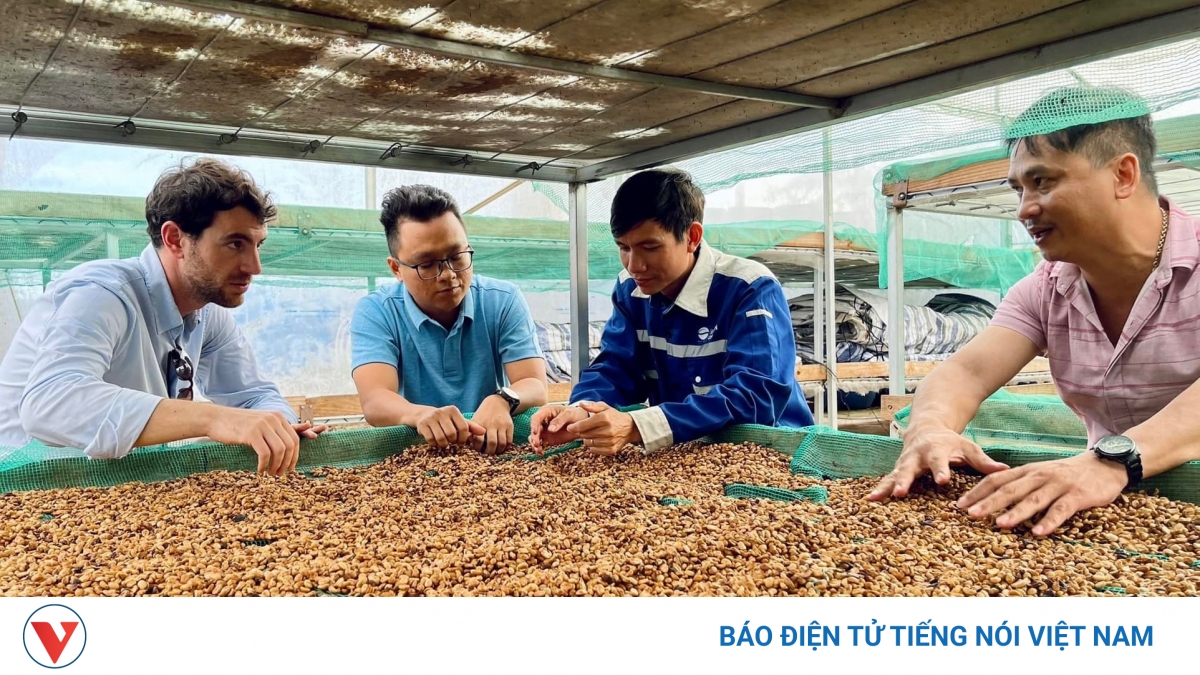 Đắk Lắk xuất khẩu nông, lâm, thủy sản hơn 2,3 tỷ USD trong 9 tháng