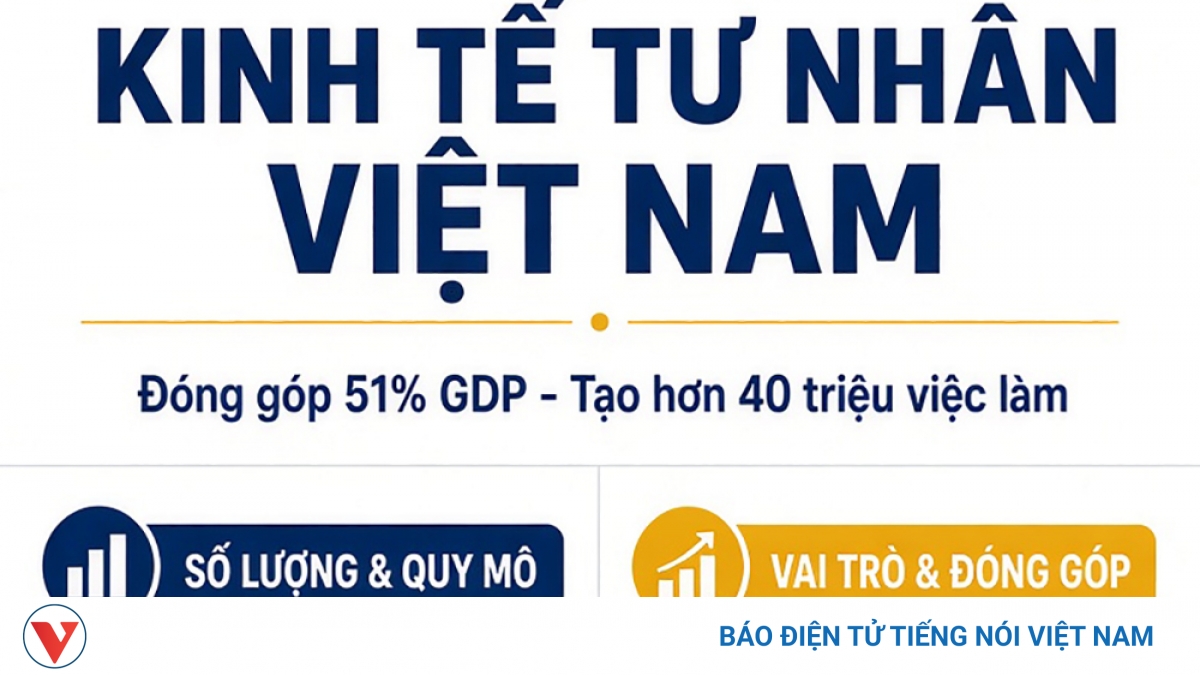 Kinh tế tư nhân đóng góp 51% GDP, tạo 40 triệu việc làm