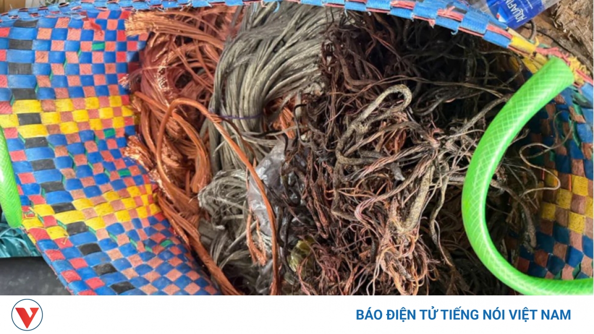 Bắt 4 người cắt trộm dây cáp sạc xe điện ở TP.HCM