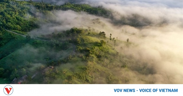 Laidon USAID launches environmental conservation projects in Vietnam | VOV.VN